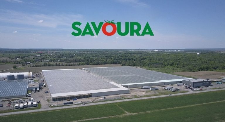 Record investment of $55 million for a 9-hectare greenhouse in Sainte-Sophie