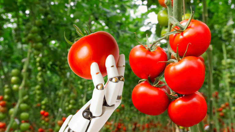 Innovating to meet labour challenges in the agriculture and agri-food sector