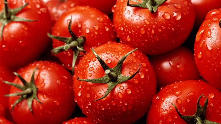 5 Easy Greenhouse-Grown Tomato Recipes for Back-to-School