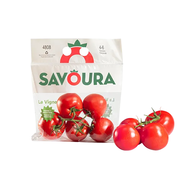 Tomate La Vigne - Savoura