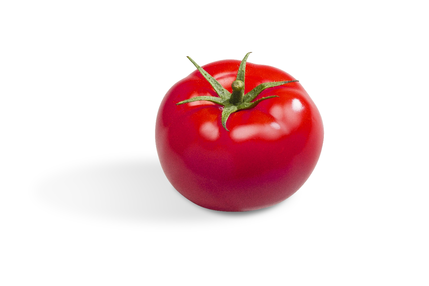 Nos tomates Bio