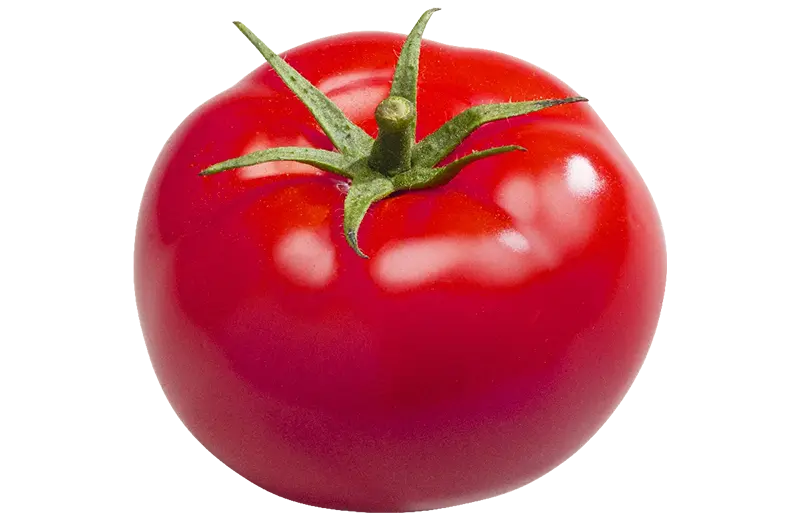 Tomate Savoura