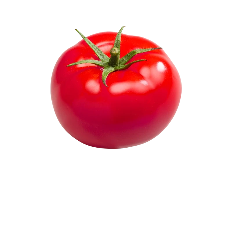 Savoura - Tomate Biologique - Organic