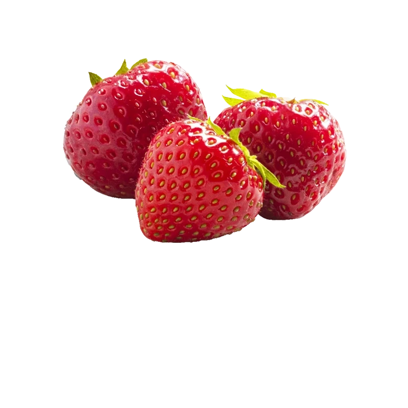 Le plaisir de croquer dans une fraise fraîchement cueillie, maintenant possible même en hiver.
