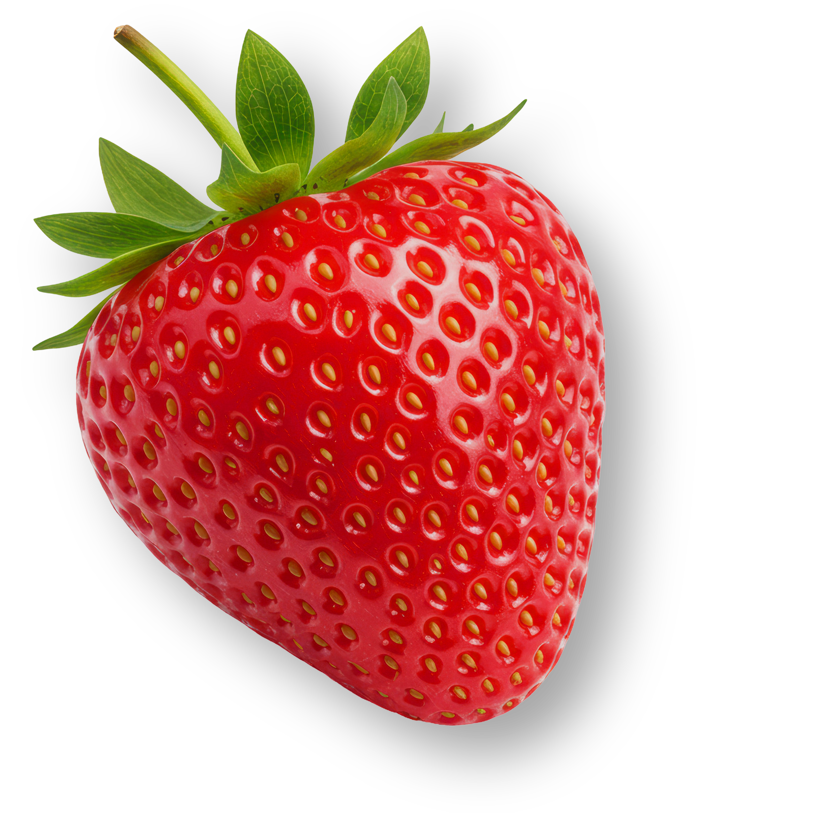 Savoura - Fraise