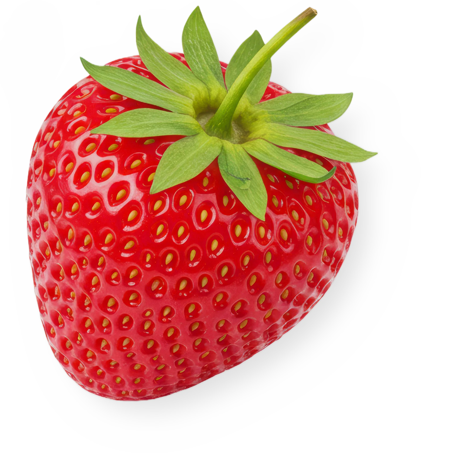 Savoura - Fraise