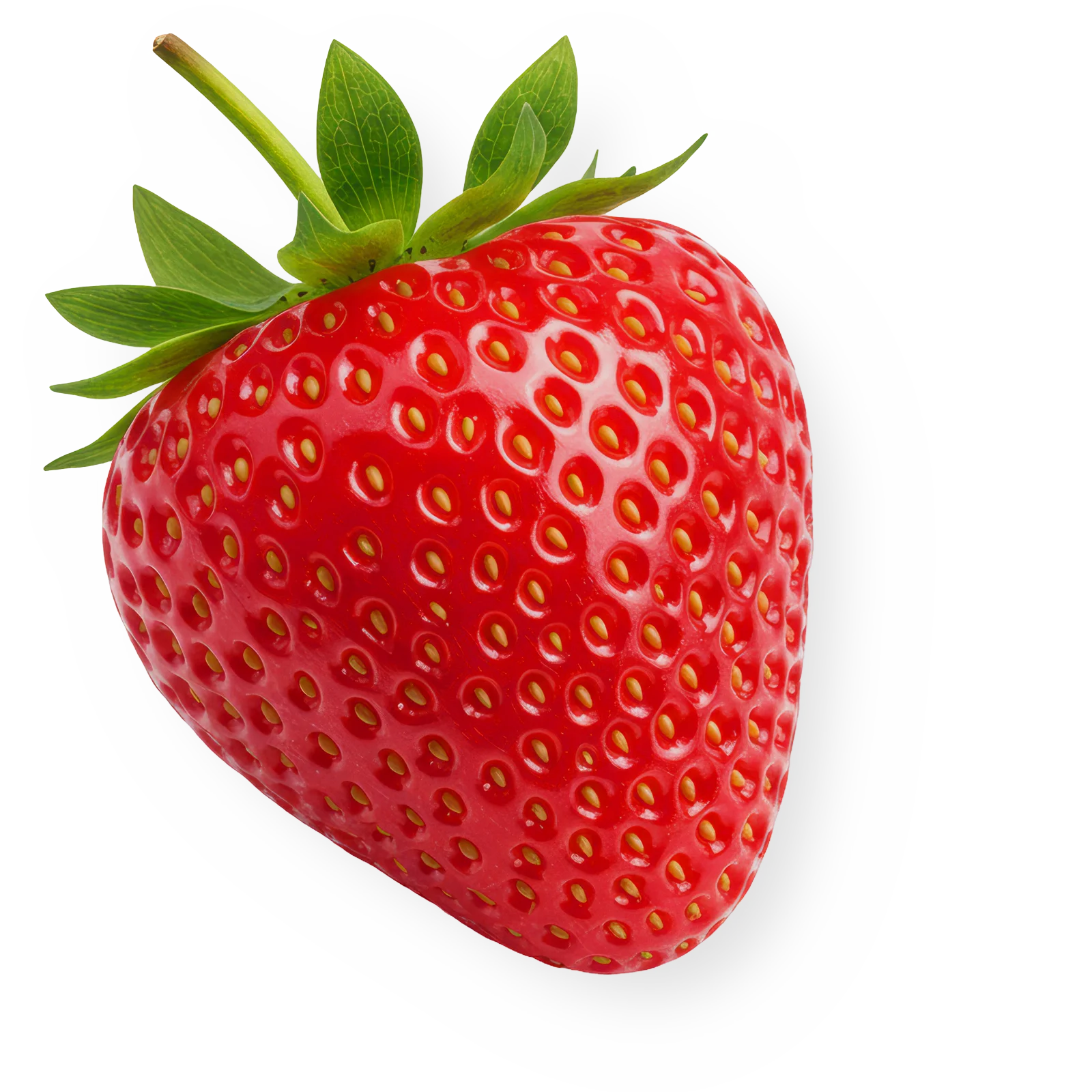 Savoura - Fraise